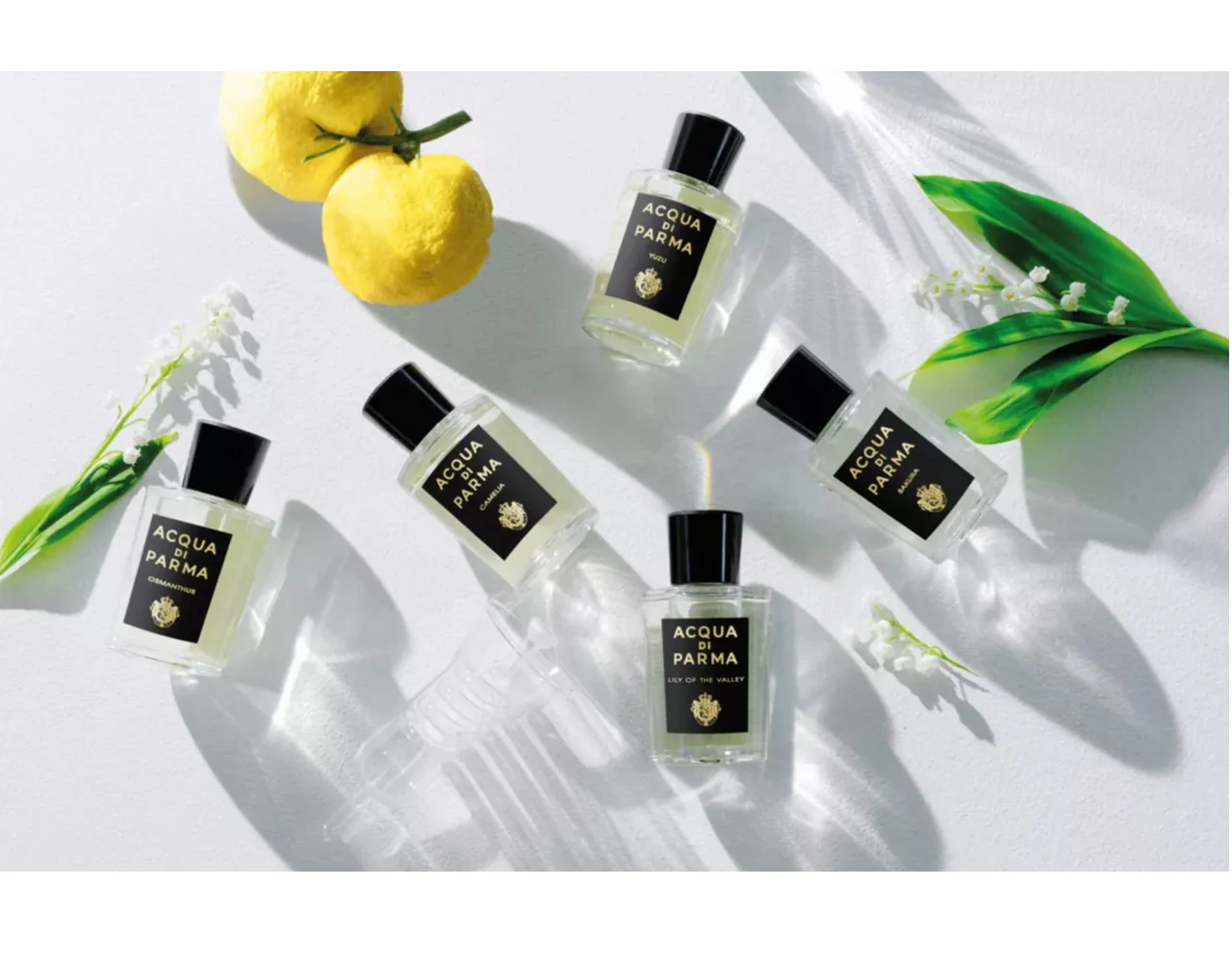 Acqua Di Parma Lily Of The Valley EDP 100 ml - Image 3