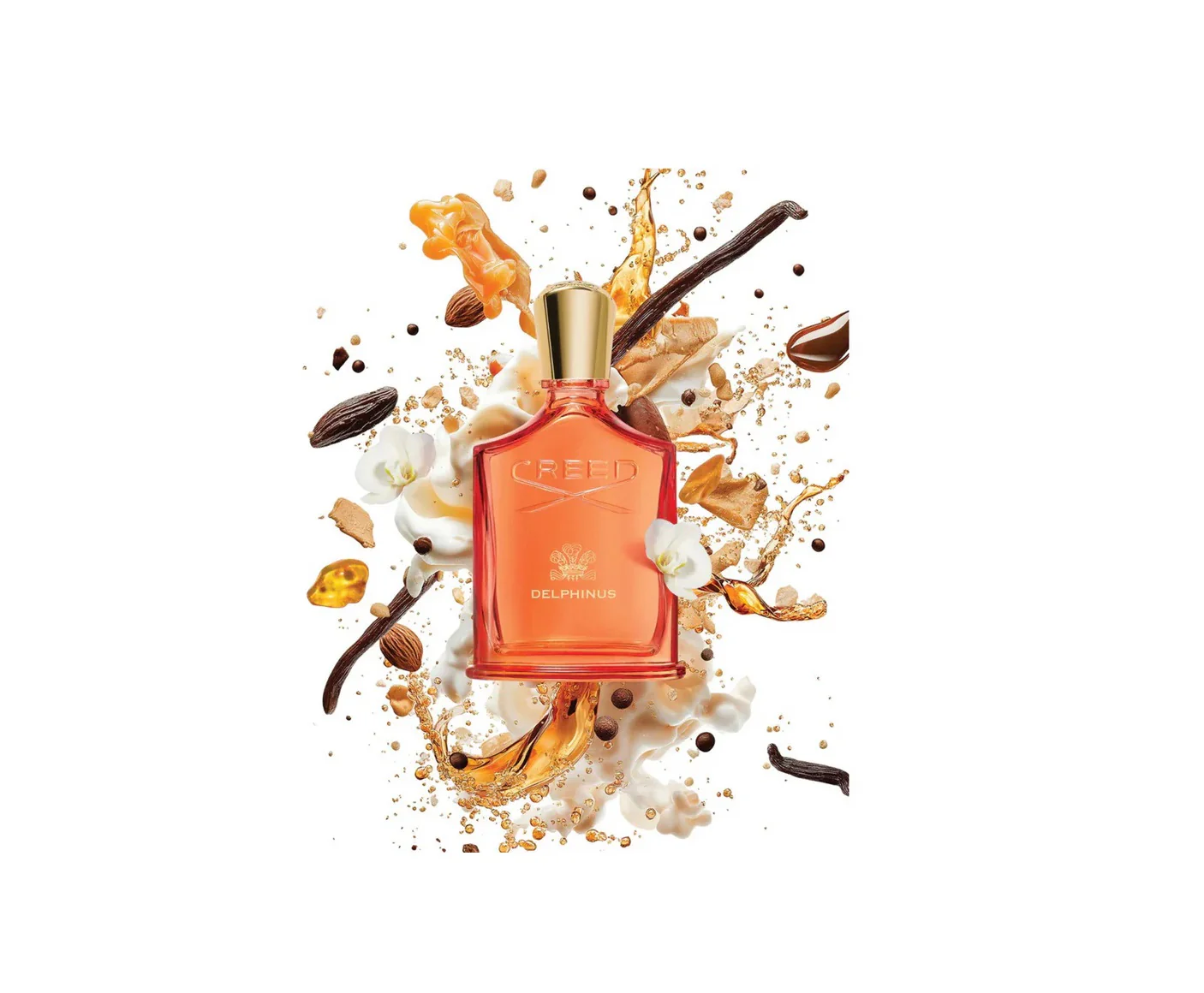 Creed Delphinus EDP - Image 3