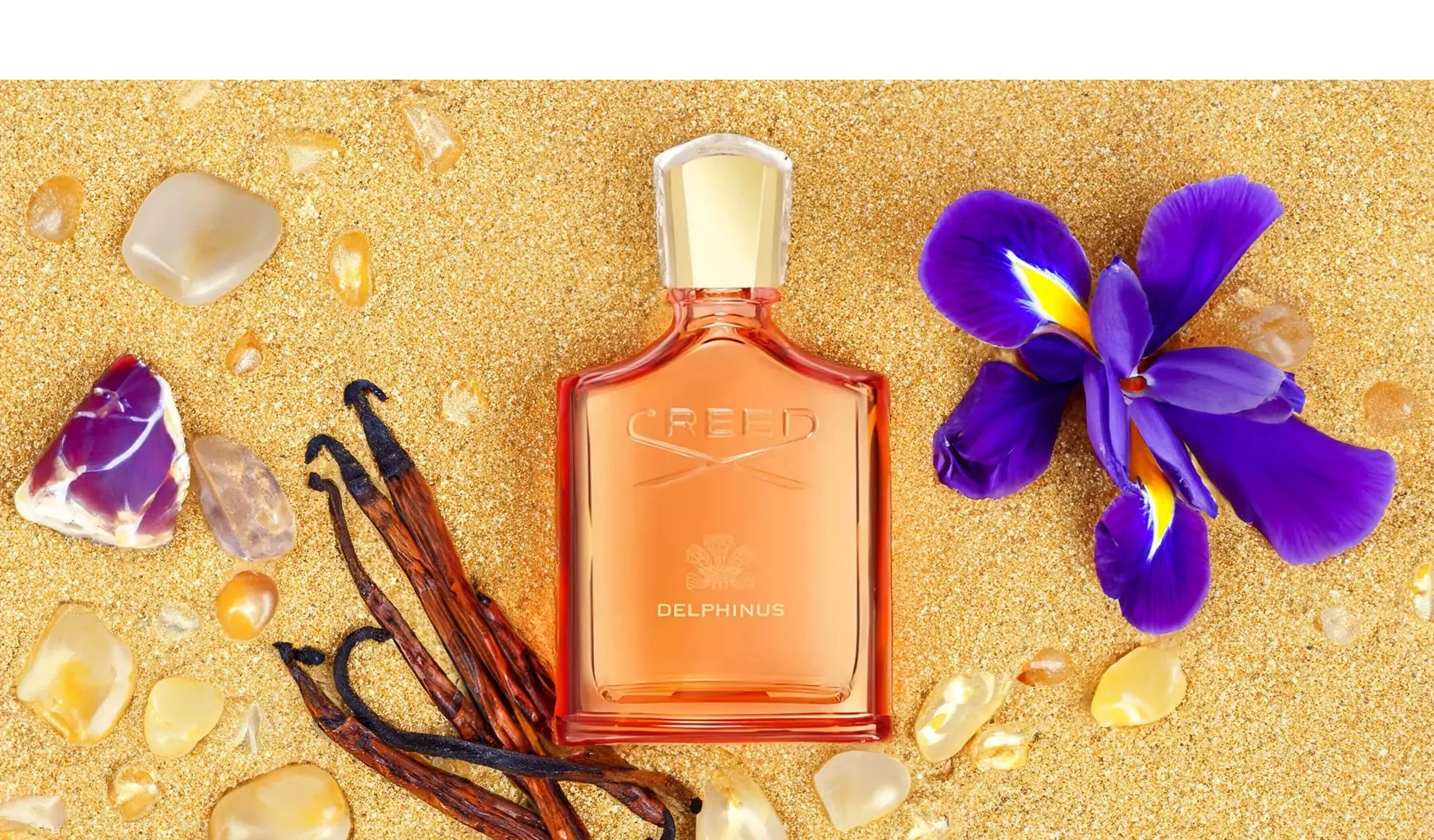 Creed Delphinus EDP - Image 4