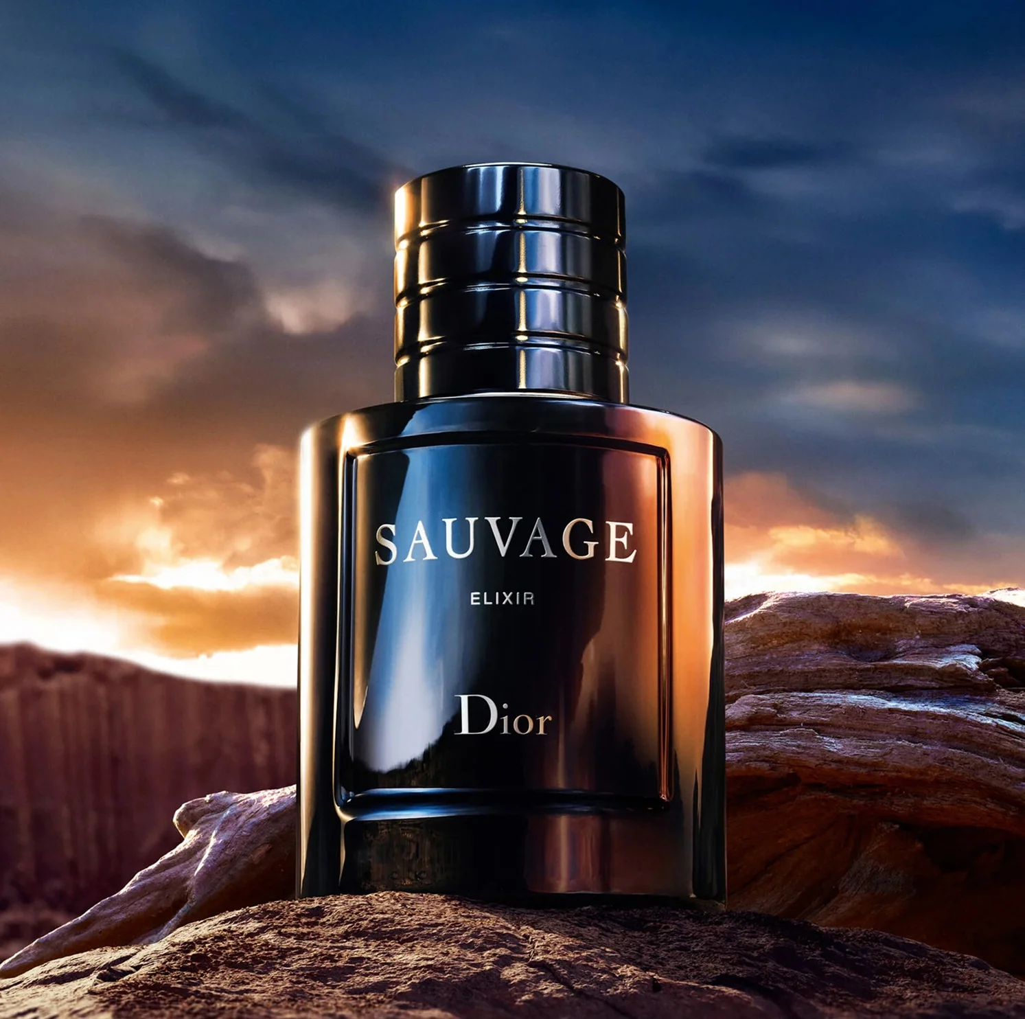 Dior Sauvage Elixir 100 ml - Image 3