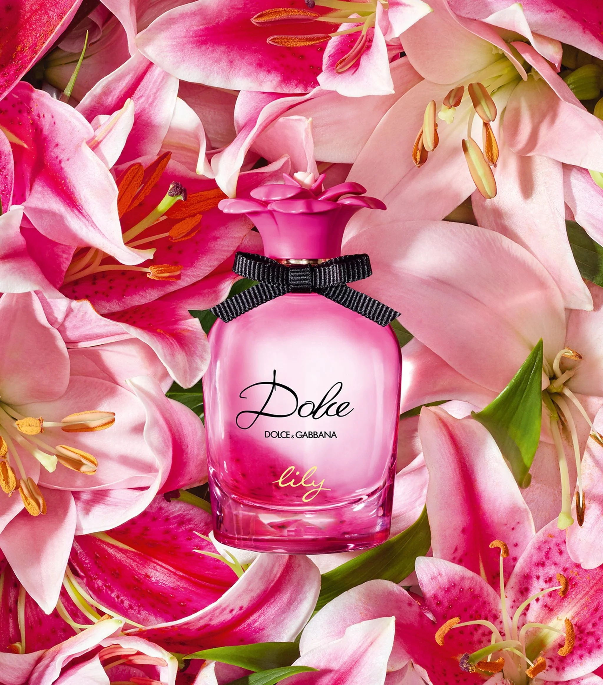 Dolce Lily Rose Set - Image 3