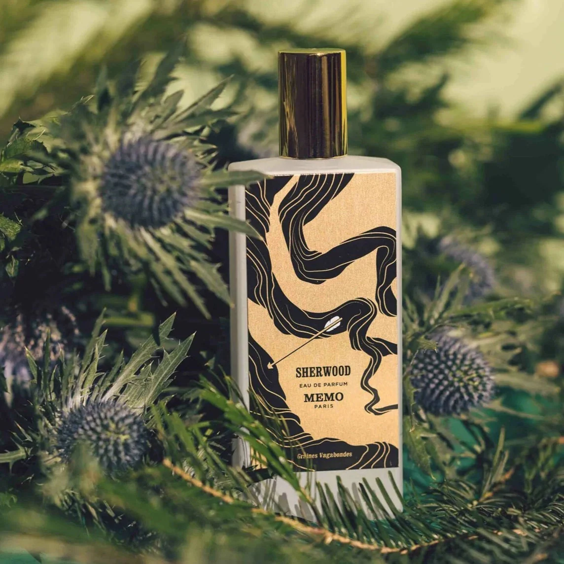 Memo Sherwood EDP 75 ml - Image 3